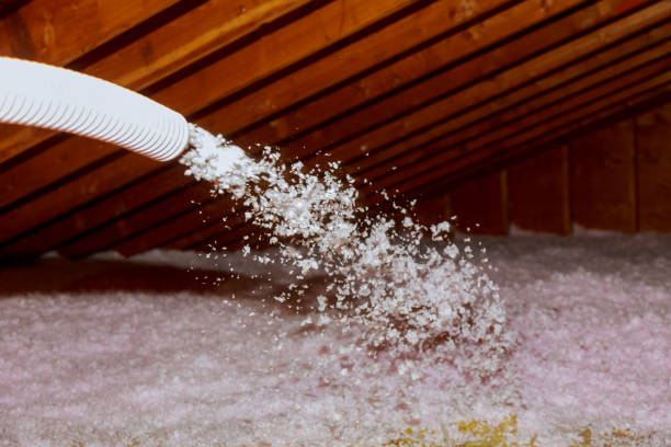Best Fiberglass Insulation in Arcadia, SC
