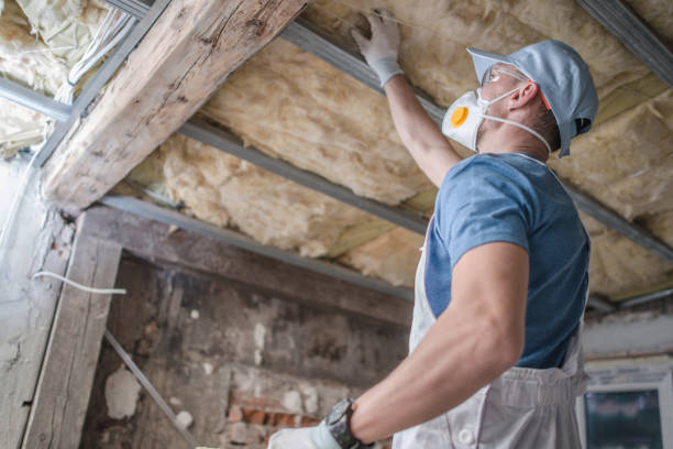 Best Specialized Insulation Services in Arcadia, SC