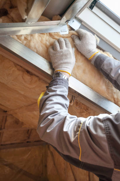 Best Spray Foam Insulation in Arcadia, SC