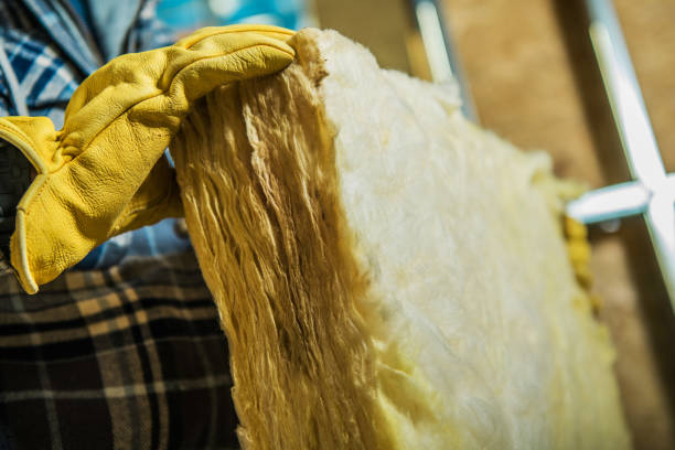 Best Blown-in Insulation in Arcadia, SC