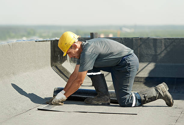 Professional Insulation Contractor in Arcadia, SC