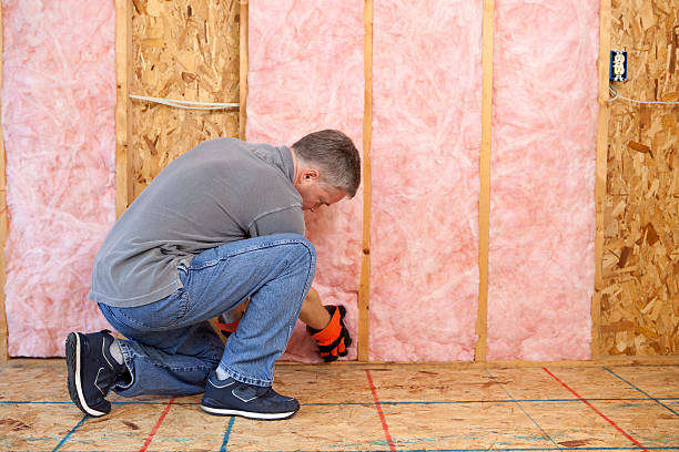 Best Geographic-Specific Insulation Services in Arcadia, SC