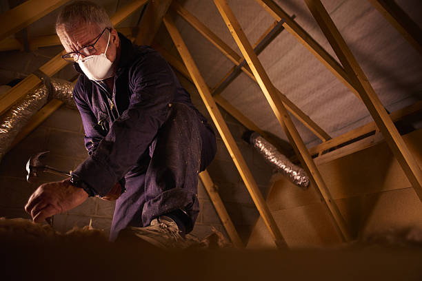 Types of Insulation We Offer in Arcadia, SC